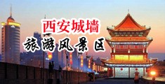 老女人AV中国陕西-西安城墙旅游风景区